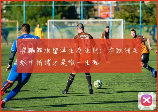 崔鹏解读留洋生存法则：在欧洲足球中拼搏才是唯一出路